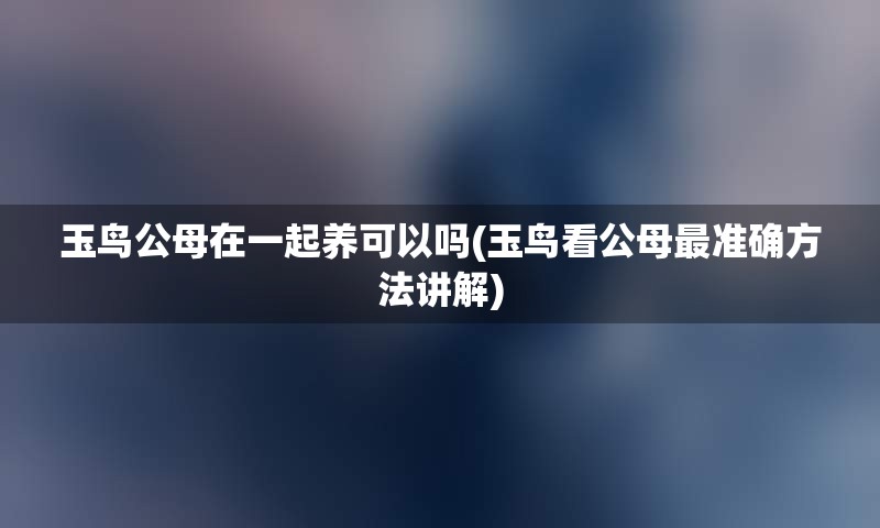 玉鸟公母在一起养可以吗(玉鸟看公母最准确方法讲解)