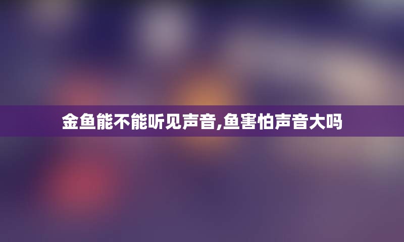 金鱼能不能听见声音,鱼害怕声音大吗