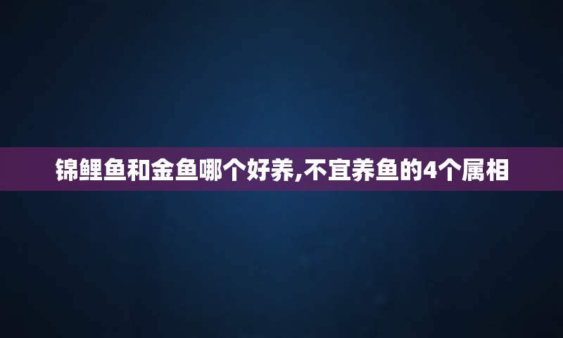 锦鲤鱼和金鱼哪个好养,不宜养鱼的4个属相