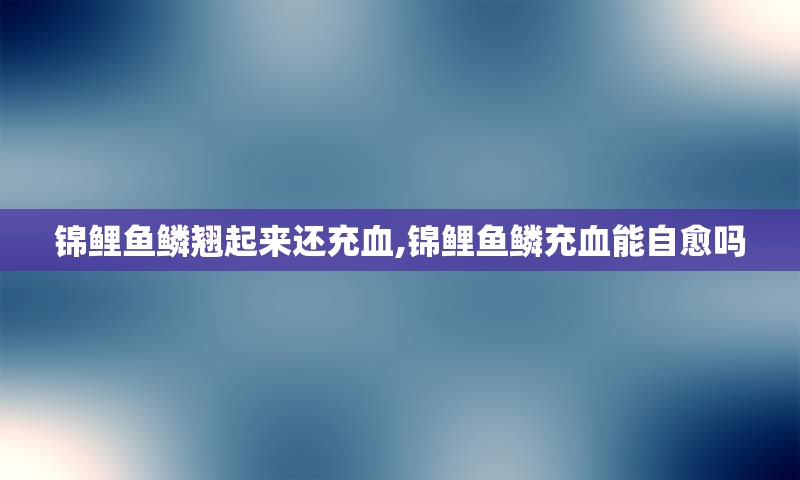 锦鲤鱼鳞翘起来还充血,锦鲤鱼鳞充血能自愈吗