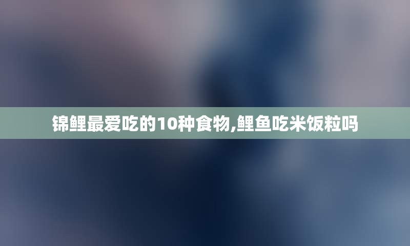 锦鲤最爱吃的10种食物,鲤鱼吃米饭粒吗