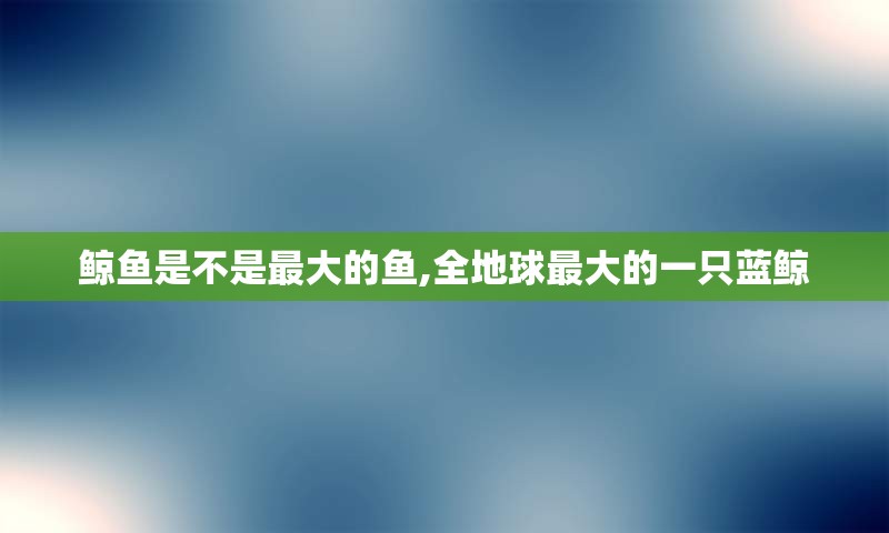 鲸鱼是不是最大的鱼,全地球最大的一只蓝鲸