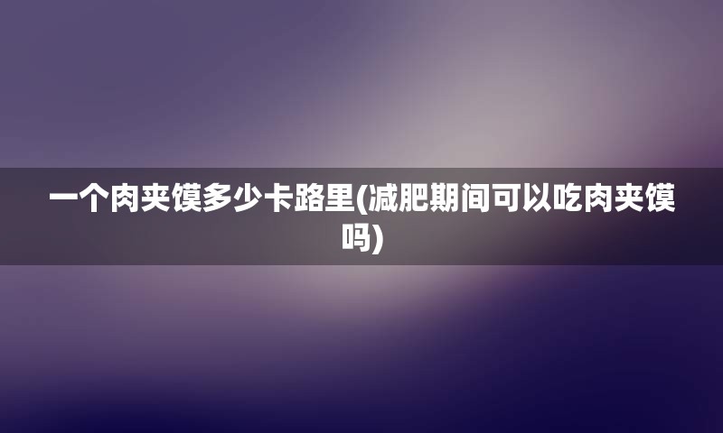 一个肉夹馍多少卡路里(减肥期间可以吃肉夹馍吗)