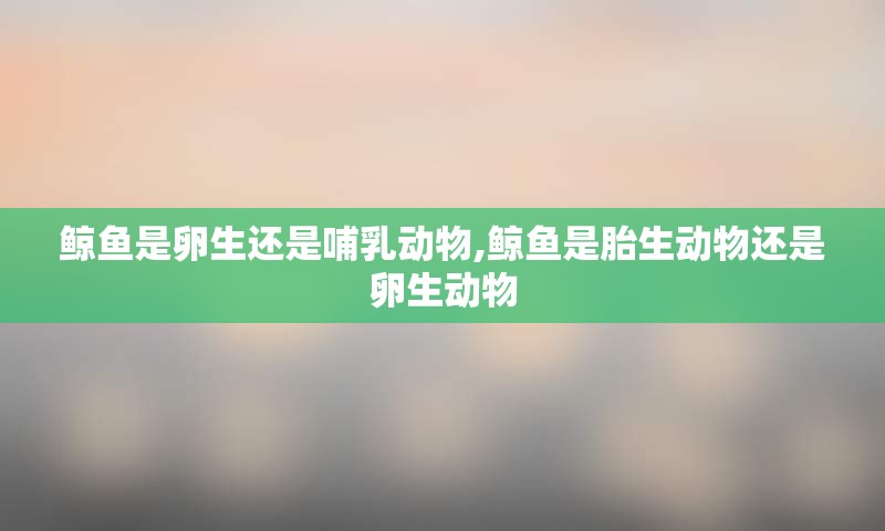 鲸鱼是卵生还是哺乳动物,鲸鱼是胎生动物还是卵生动物