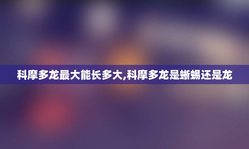 科摩多龙最大能长多大,科摩多龙是蜥蜴还是龙