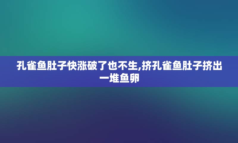 孔雀鱼肚子快涨破了也不生,挤孔雀鱼肚子挤出一堆鱼卵