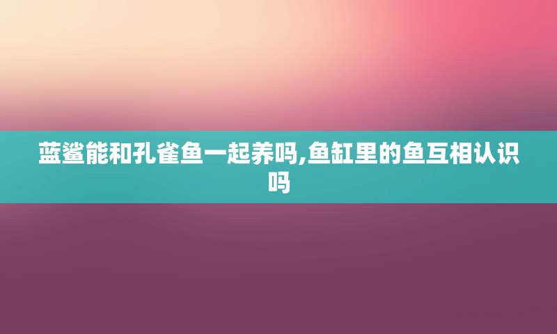 蓝鲨能和孔雀鱼一起养吗,鱼缸里的鱼互相认识吗