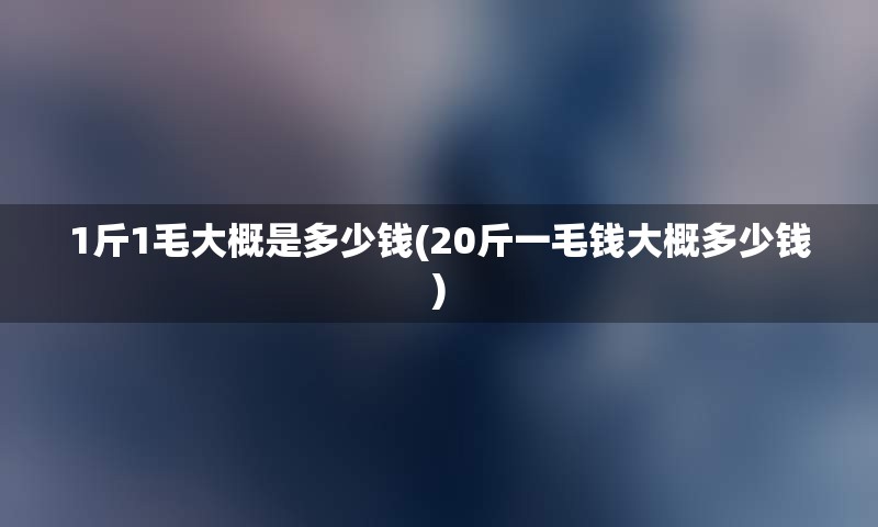 1斤1毛大概是多少钱(20斤一毛钱大概多少钱)