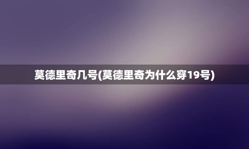 莫德里奇几号(莫德里奇为什么穿19号)