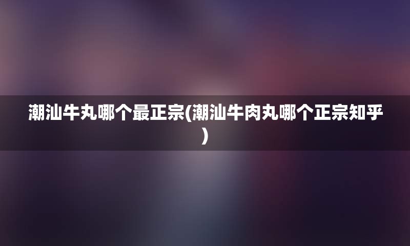 潮汕牛丸哪个最正宗(潮汕牛肉丸哪个正宗知乎)