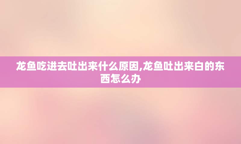 龙鱼吃进去吐出来什么原因,龙鱼吐出来白的东西怎么办