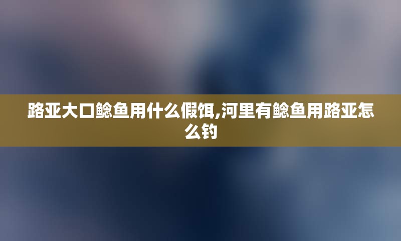 路亚大口鲶鱼用什么假饵,河里有鲶鱼用路亚怎么钓